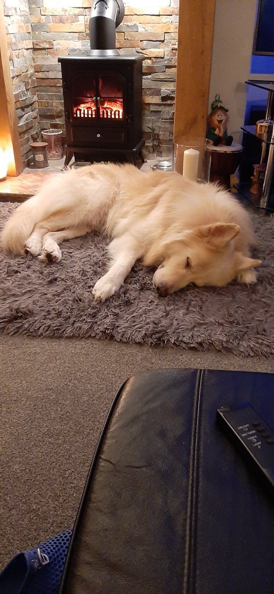 Lesmc7's tweet photo. One cosy boy 🤗😴 https://t.co/Ehuq5GdgKZ