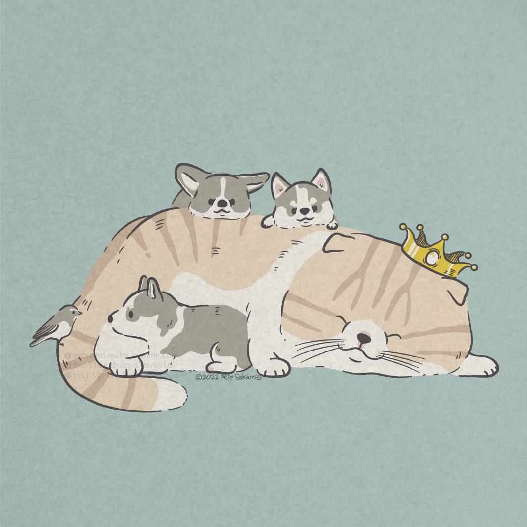 「うちのハスキーとコーギーとミニチュアダックスフンドとかわいい動物たち#Natio」|サカモトリエ/イラストレーターのイラスト