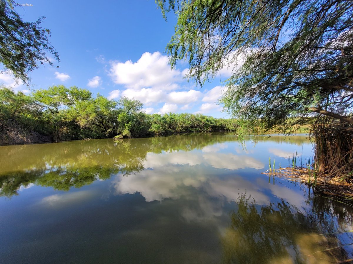 TheCaracaraMx's tweet photo. LOS HUMEDALES DE ZUAZUA: UN SITIO DE GRAN VALOR AMBIENTAL EN PELIGRO DE DESAPARECER.

En el municipio de General Zuazua se encuentra un sitio con una gran diversidad de especies, muchas de ellas muy raras en Nuevo León.

Abro hilo para platicarles sobre ellos: https://t.co/RDfS6ZruqS