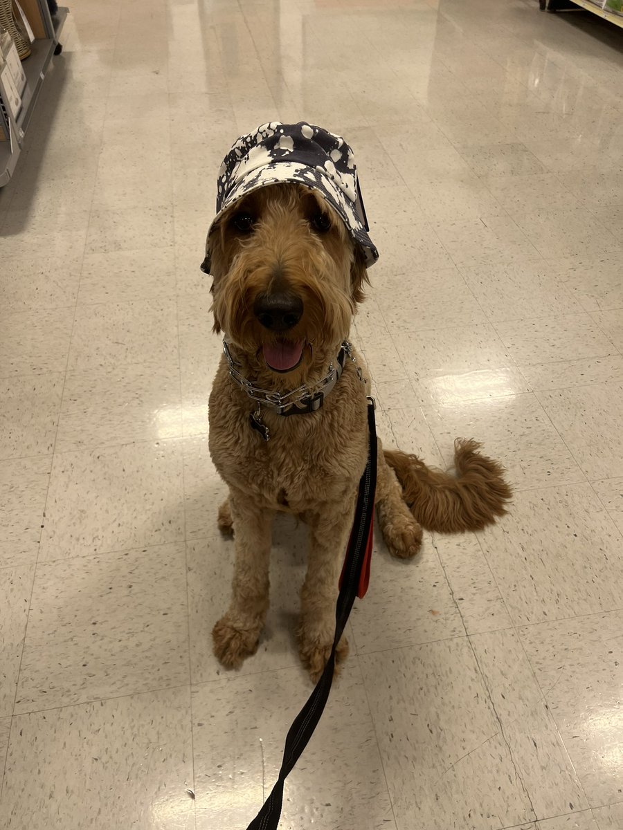 beeshsoboujee's tweet photo. How could you ever call this sweet handsome boy out his name? https://t.co/FGrQq8aCzt