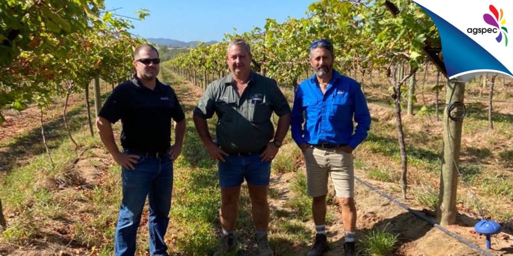 AgspecAus's tweet photo. The #Agspec team is out & about! @FrankAgspecAU & Steve Doench from @ExactoInc inspecting an #AquiMax table #grape trial in #Dimbulah, #QLD with farm manager Paul 👨🌾🍇
@AquiMaxAg https://t.co/b5ZjPLViGa