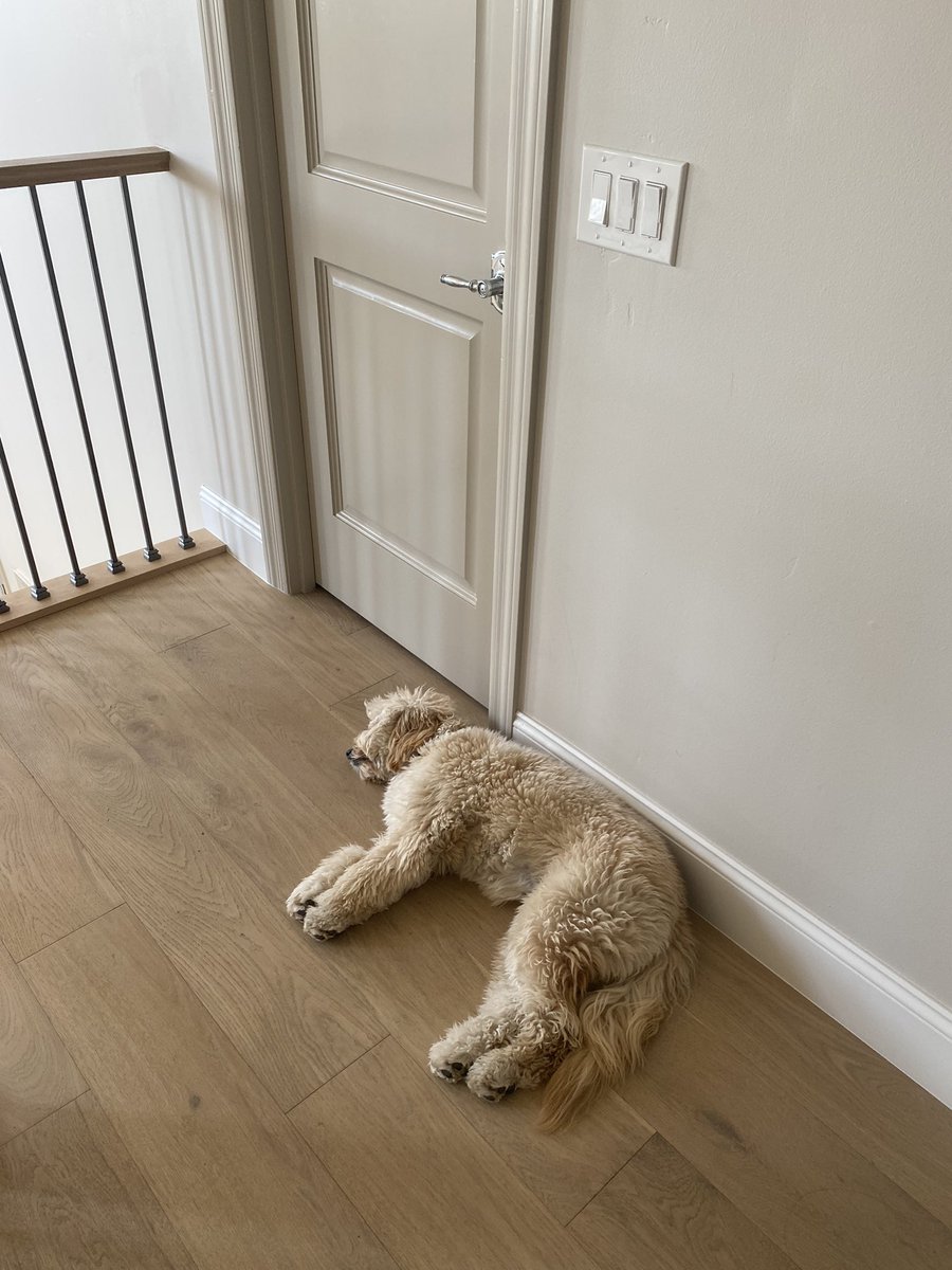 Matt McAllister tweet media