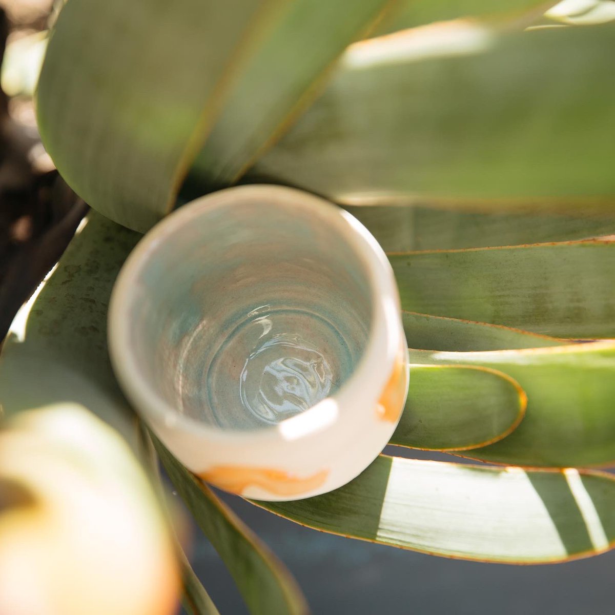 raygenio #runningwithraymond tweet media