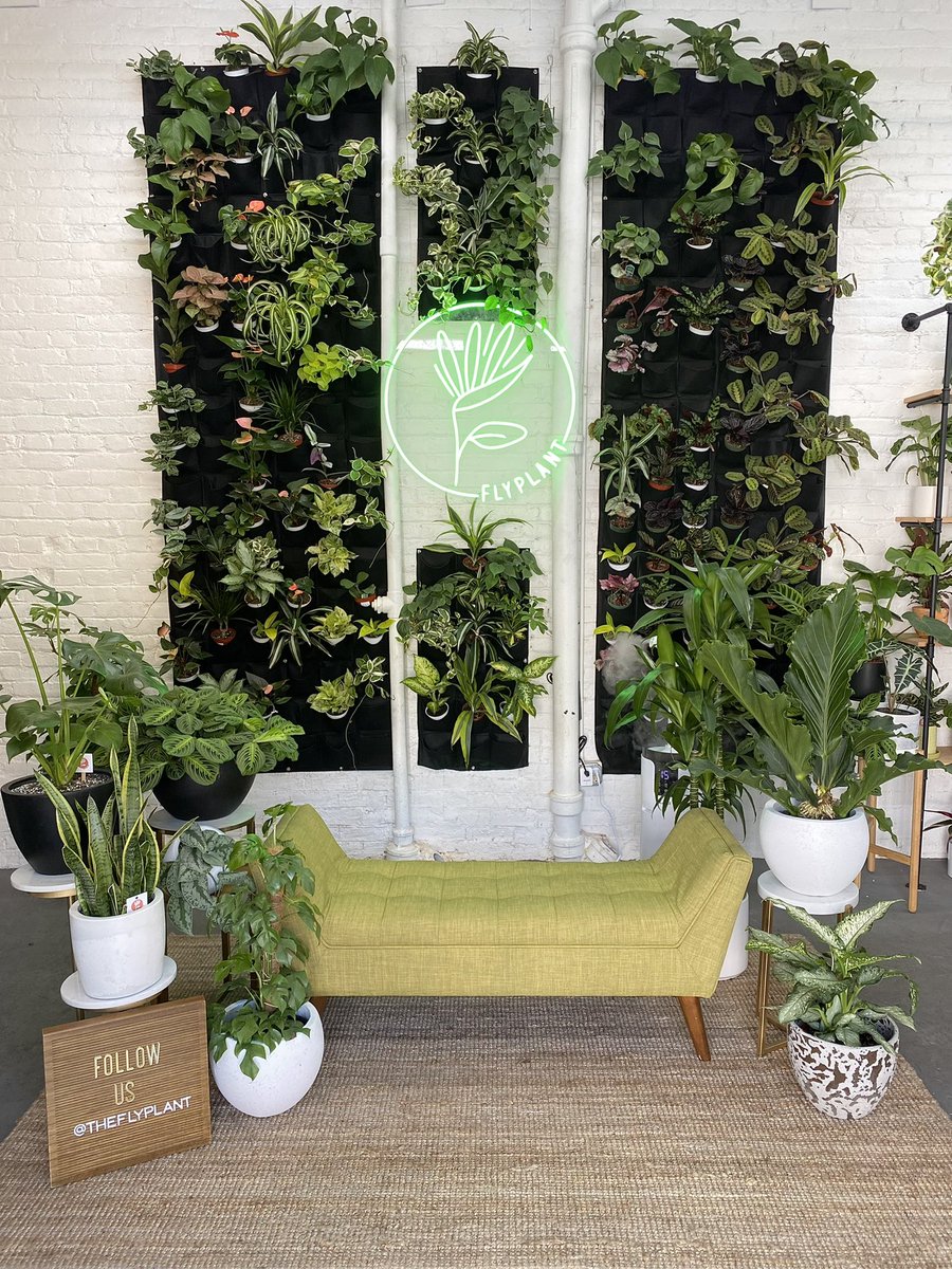 raygenio #runningwithraymond tweet media