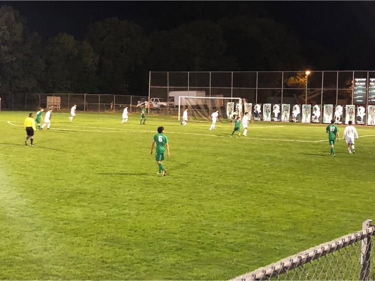 retro adidas samba trainers