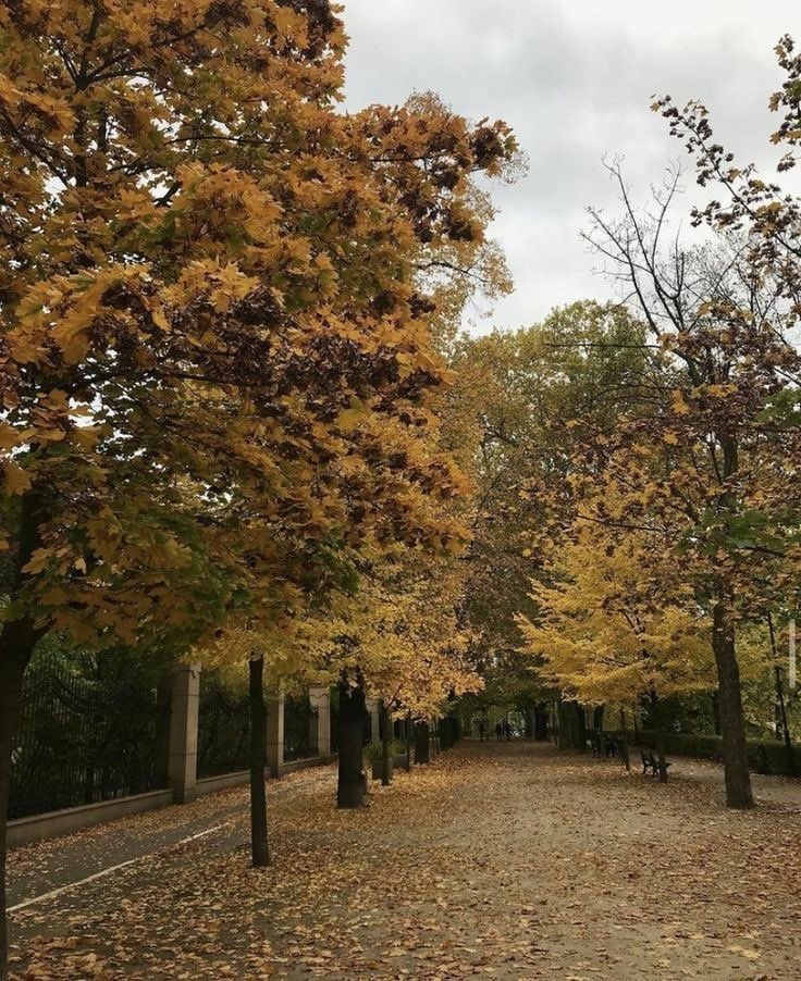 M1SSD1OR's tweet photo. fall is hereeeee https://t.co/rQI8CwAsGv