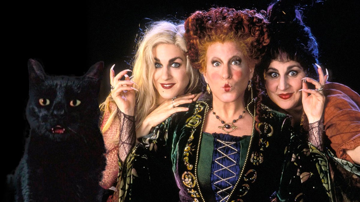 “It’s a glorious return, sisters!” Here’s everything you need to know