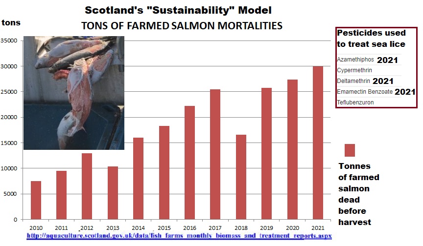 ProtectOurShore's tweet image. Farmed salmon mortalities in Scotland: A model in sustainability? 
Dead salmon, "cleaner fish" killed at harvest, krill from the Antarctic shipped to Norway, pesticides to treat salmon for sea lice. 
#salmon #notsustainable @CBC @bbcworld @WildFishCons @guardian @OrcaSOS