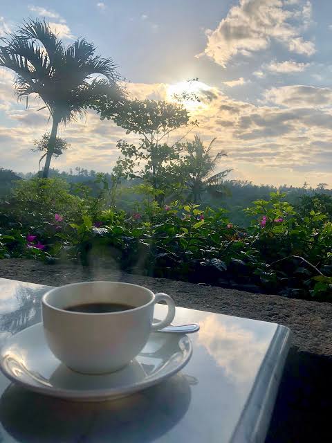 Vanis00's tweet photo. What make my day? DRINKING COFFEE IN MORNING 
@Metaarksnft @azii_12345 @Rrye26 @F3NIX1816 

#metaArks #SocialFi #GameFi #NFTs #Metaverse #mintsoon #29sept https://t.co/ngYNBr71Xr