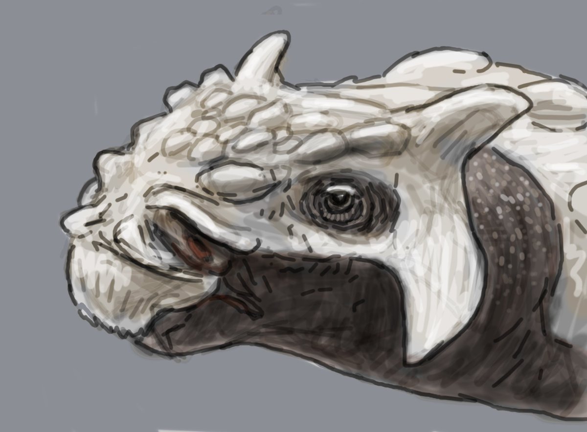 @Paleojim Arvinachelys, Adocus, Nodocephalosaurus, Moros I think that's ...