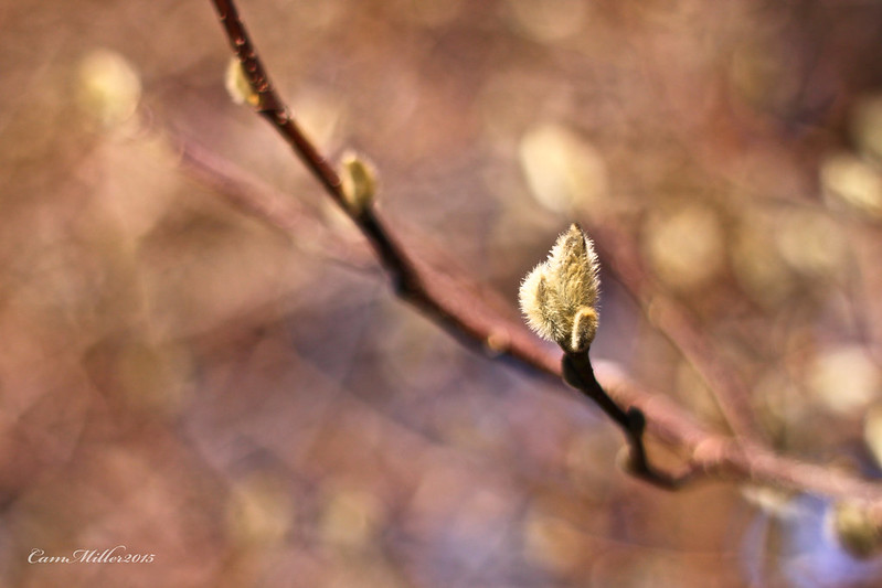 The Socialbrite team tweet media