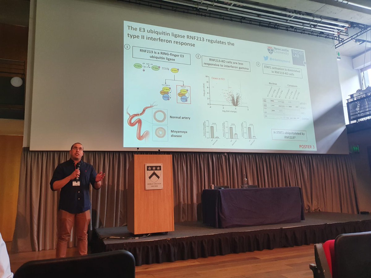 Ben Raymond tweet media