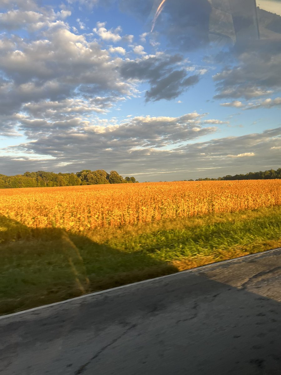 honeyzombies's tweet photo. omggggg guys it’s like I’m in stardew valley omg #ohiocore https://t.co/oCGL9iDDVf