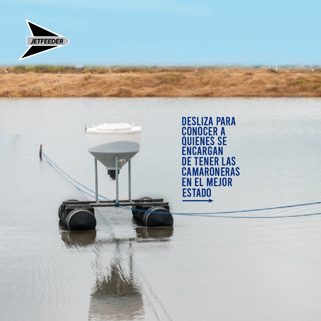 jetfeeder's tweet photo. Tenemos el compromiso de trabajar junto a las camaroneras con todo un equipo Jetfeeder capacitado que da lo mejor de si en cada visita✅⚡🦐

Elige tecnología de confianza, elige Jetfeeder

#camaron #compromiso #tecnologia #equipo #Ecuador https://t.co/Rer1vN02qk