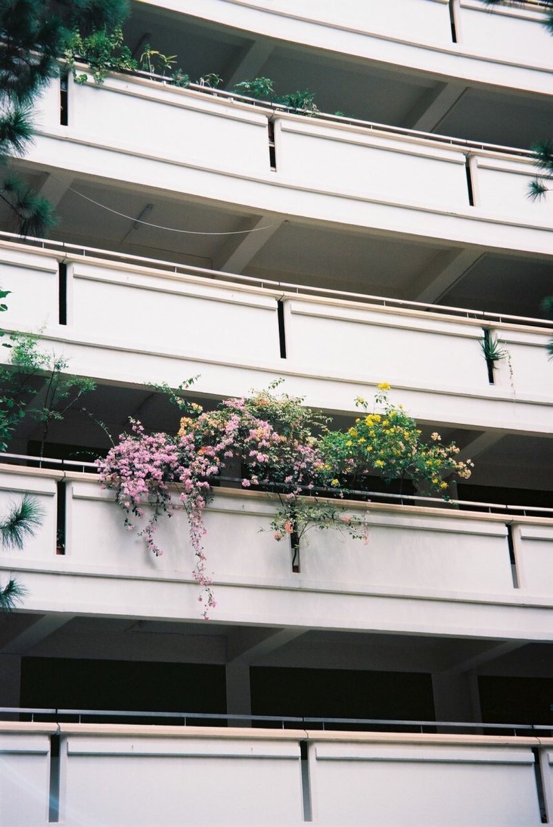 Archillect (@archillect) on Twitter photo 