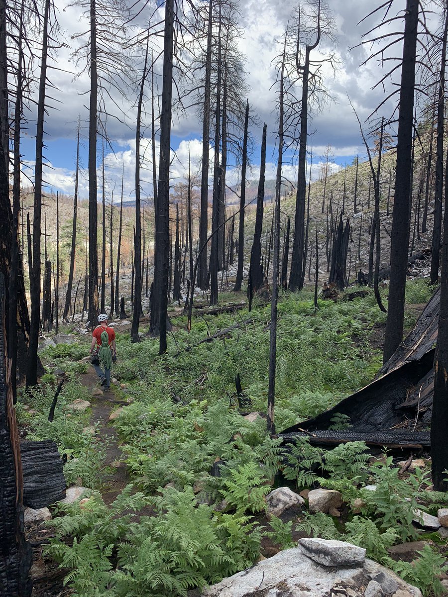 Madeline Sides tweet media