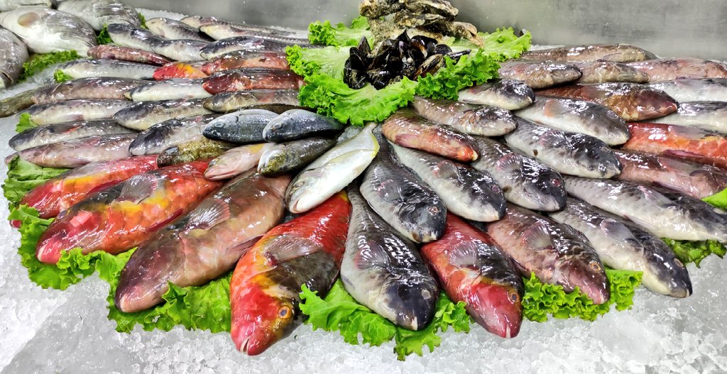 paramorfo's tweet photo. #Restaurante La cofradía de caletillas #LasCaletillas #Tenerife
Pescado canario. https://t.co/3QSpRg3IFj