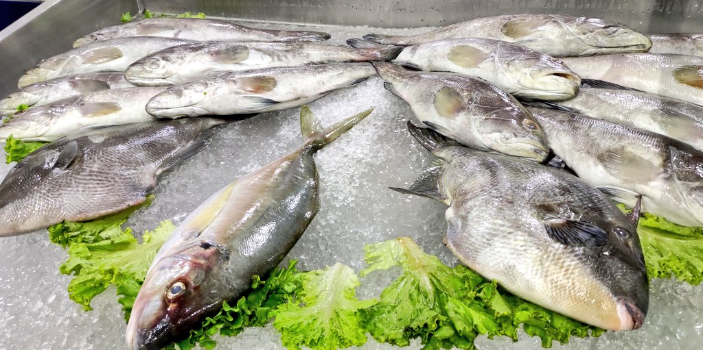 paramorfo's tweet photo. #Restaurante La cofradía de caletillas #LasCaletillas #Tenerife
Pescado canario. https://t.co/3QSpRg3IFj