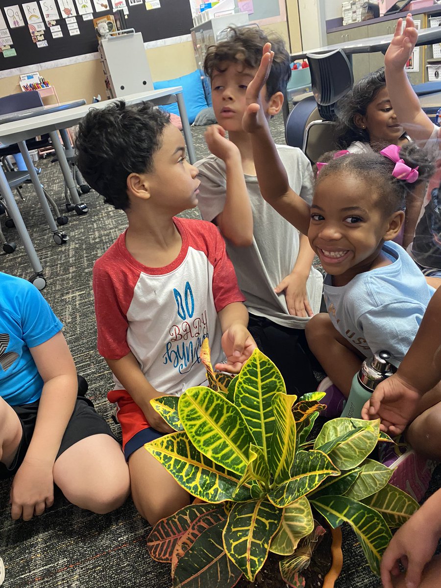 Gina Williford tweet media