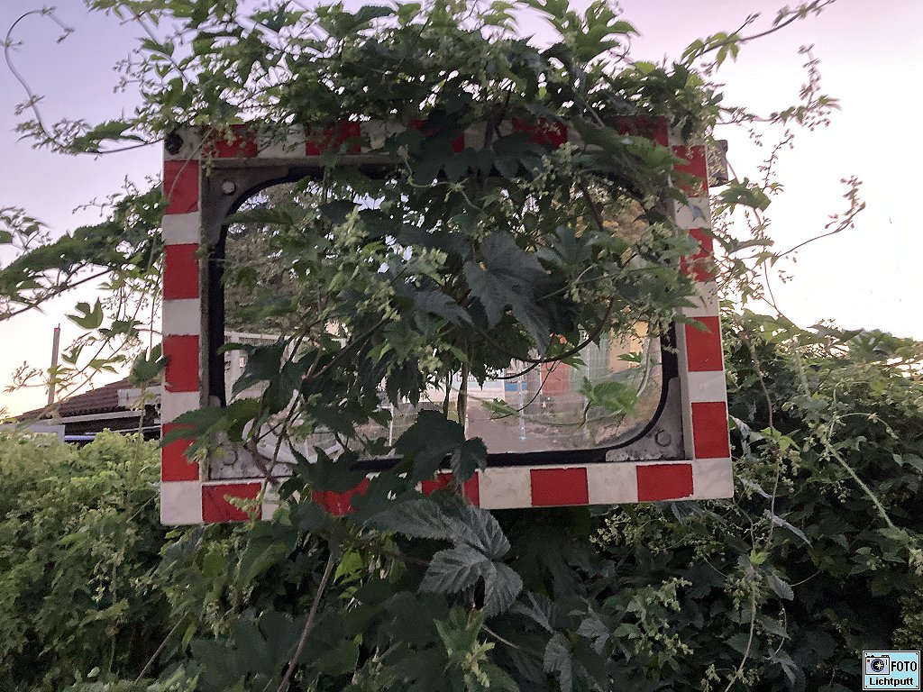 LichtPutt's tweet photo. »#Dornwittchen und #Schneeröschen.«

#Spieglein, Spieglein an der #Ecke,
wenn ich so dein #Bild abchecke,
wächst Du zu mit dieser #Hecke.
Kann nichts sehen, #lauter #Flecke,
weil die #Blätter spiel'n: „verdecke“.
#Spiegel nun ganz ohne Zwecke.

#Reim​e, #Gedicht, #Text zum #Bild https://t.co/xYQkAPrRtR