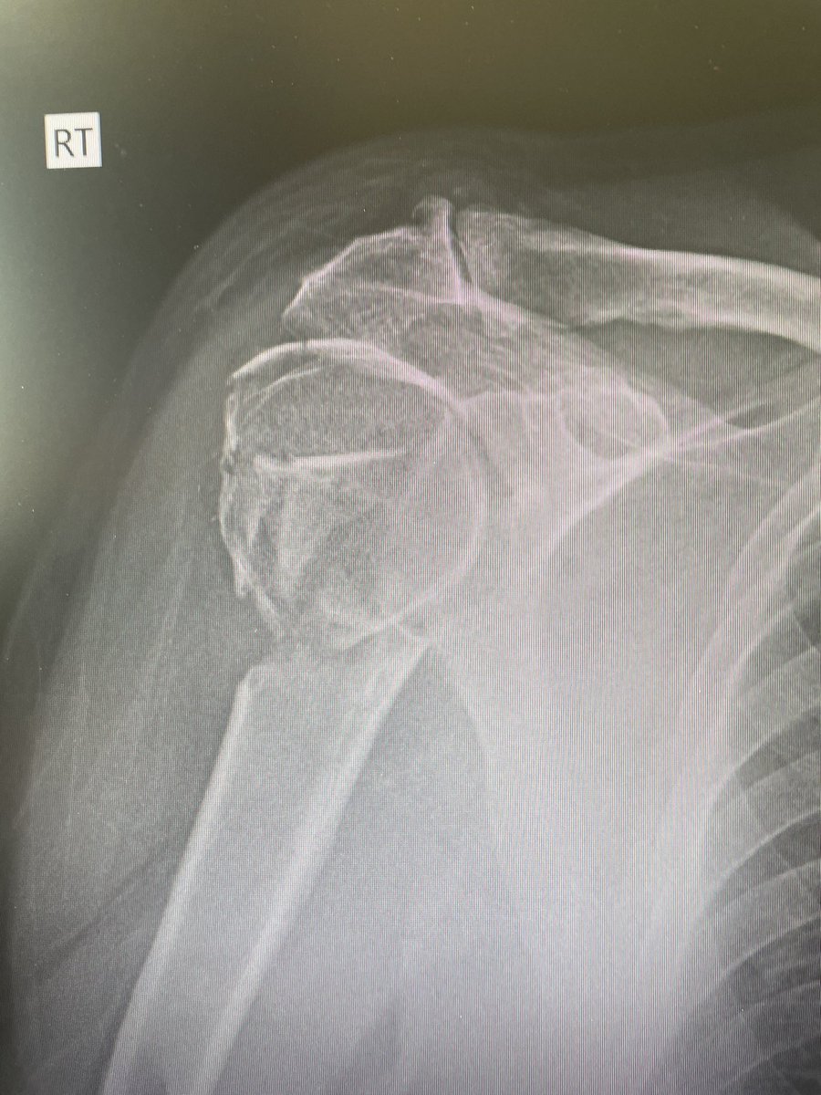 Very General Orthopaedist tweet media