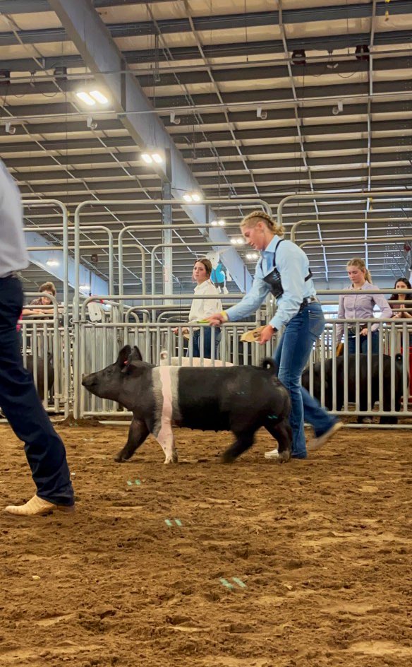 Congrats to a water polo captain & swimmer Niya on her projects! Her goat was class champion & 3rd overall. Her pig was reserve class champion & 12th overall @fbcfair proud of your hard work in the water & at the barn! #team #Hardwork #athlete #ffa #agriculture #waterpolo