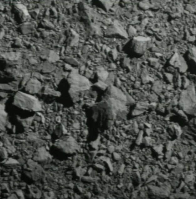 Damien Leprovost tweet media