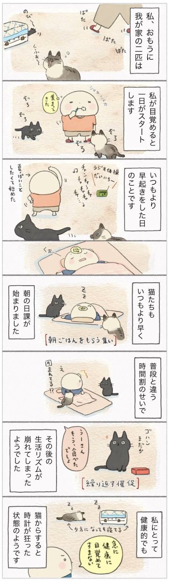 狂った体内時計?健康に目覚めた飼い主に振り回される猫たち【連載】ねこ連れ草 245話め|ねこのきもちWEB MAGAZINE https://t.co/lqiEa1Plnu
