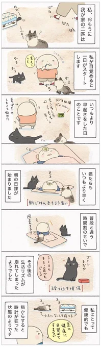 狂った体内時計?健康に目覚めた飼い主に振り回される猫たち【連載】ねこ連れ草 245話め|ねこのきもちWEB MAGAZINE https://t.co/lqiEa1Plnu 