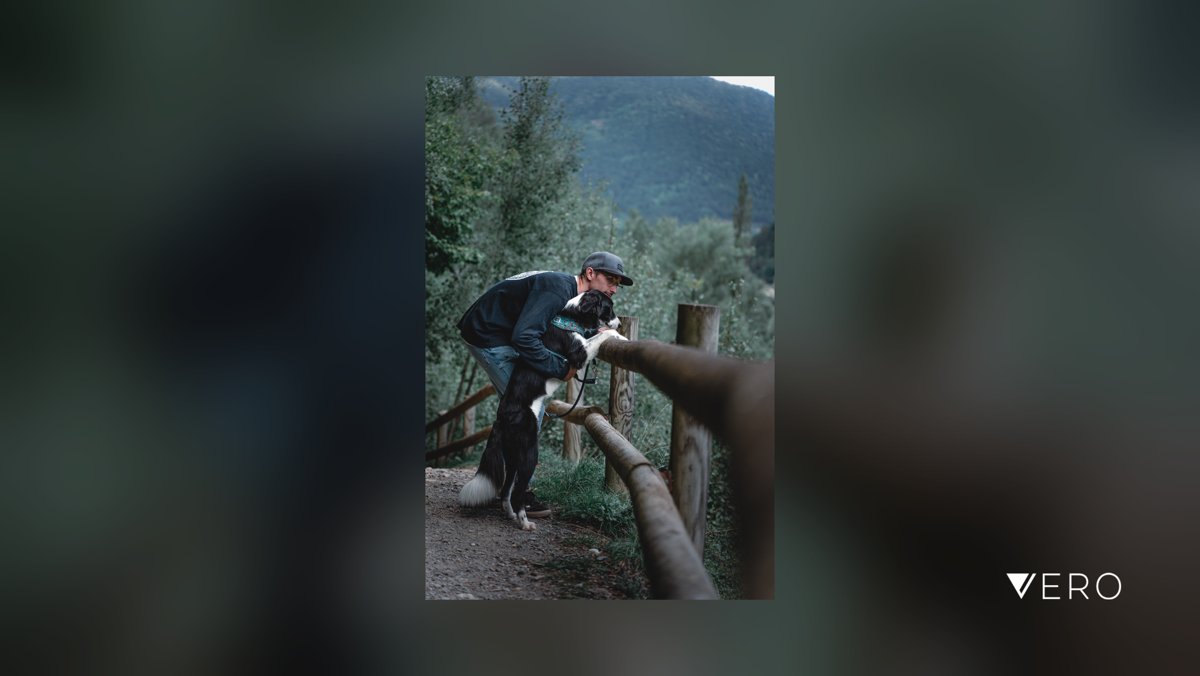 SixVertikal's tweet photo. Mirando al futuro con mi peque🐕

#Forest #Nature #Plant #Tree #Activity #dog #bordercollie #photographyanimal #photographydog https://t.co/pArTtOt1e3 https://t.co/8lYTzX6GpW