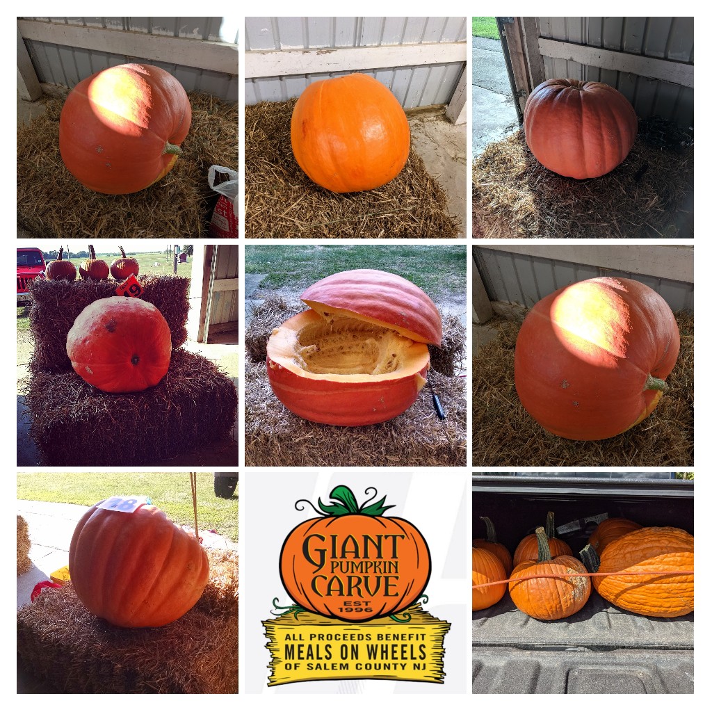 bethasfranz's tweet photo. 🔪🎃 2013-2021 Befores 🔪🎃
🤔 wonder what'll be carved up this time!?!?
🚲👹🎲🥮📺❤️🧟✍️🔁🎨🔪🎃
@_MealsOnWheels  @SalemCountyNews #giantpumpkincarve2022 #professionalfranz 
@TWPSuperVPA @Official_BHMS https://t.co/DJHhA8C5Ds