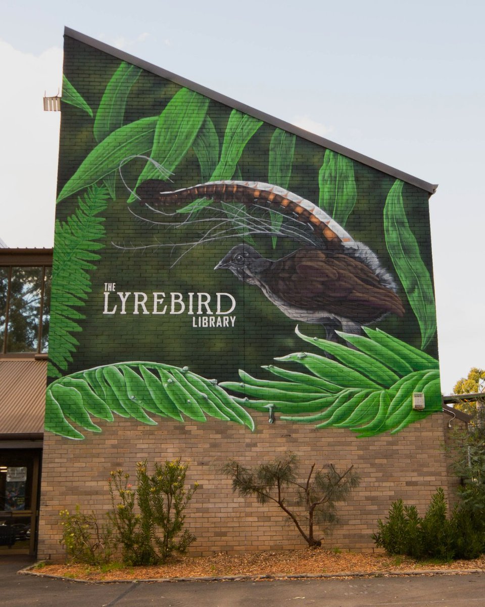 NSW Dept of Education (@nsweducation) on Twitter photo Last term <a href="/SarahRedfernHS/">Sarah Redfern High School</a> unveiled some beautiful changes to their library space. 😍📚
The school worked with community to rename the space The Lyrebird Library – the symbol of the traditional custodians, the Dharawal people.
#LoveWhereYouLearn
🎨: <a href="/blackbookinkaus/">Blackbook Ink</a> Last term <a href="/SarahRedfernHS/">Sarah Redfern High School</a> unveiled some beautiful changes to their library space. 😍📚
The school worked with community to rename the space The Lyrebird Library – the symbol of the traditional custodians, the Dharawal people.
#LoveWhereYouLearn
🎨: <a href="/blackbookinkaus/">Blackbook Ink</a>