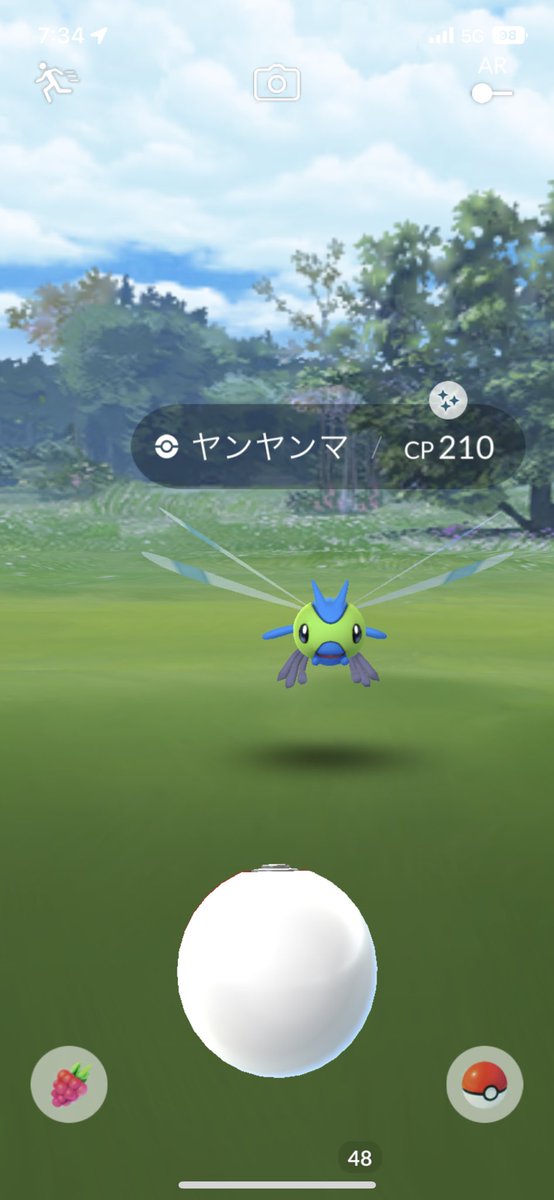 ポケモンgo ヤンヤンマの色違い 入手方法と実装状況 攻略大百科