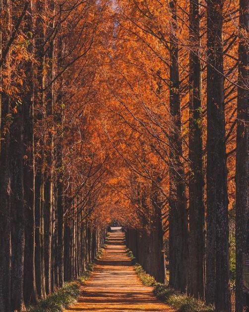 Naju, Jeollanam-do, South Korea