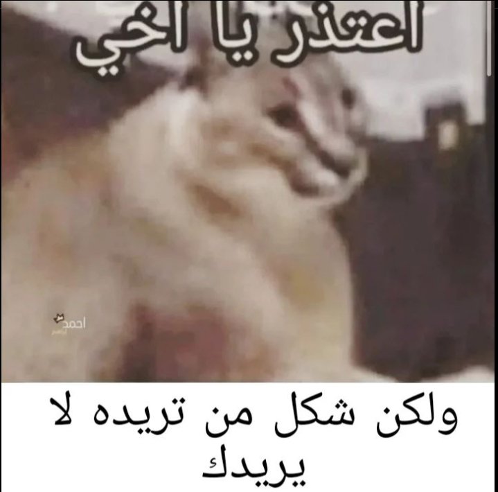 Roaa (@roaamohammed08) on Twitter photo 