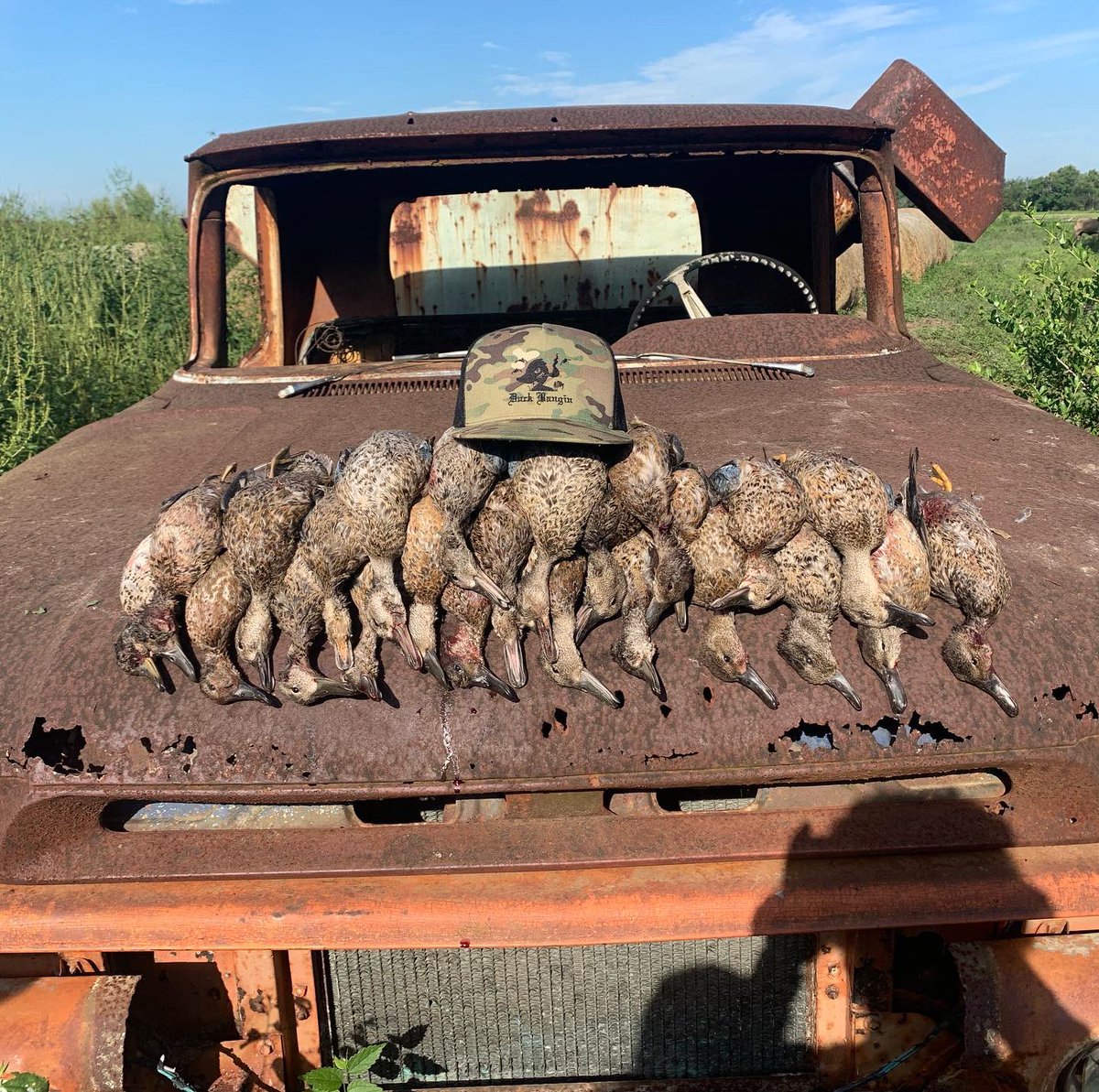 JayMinter20's tweet photo. Good way to start and end my early teal season!! https://t.co/YBOnwpqM3P