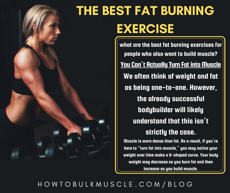 HowToBulkMuscle's tweet photo. Aside from dieting, exercising is one of the most common strategies employed by those trying to shed extra pounds. It burns calories, and this plays a key role in weight loss.

We gathered some tips here>>> https://t.co/FgMb3Ya9MO https://t.co/IpkNnhGsm3