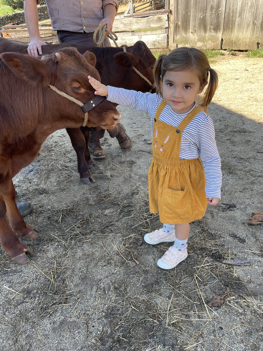 MHartleyPhotos's tweet photo. Happy third birthday to our favorite girl, Elle Caroline Hartley. You are full of love, kindness, freshness, a great aim when you throw anything (including rocks), and you are we love you so very much.  #ellehartley #perfection #thisisthree #HappyBirthday #love https://t.co/D6wp8ooqSB