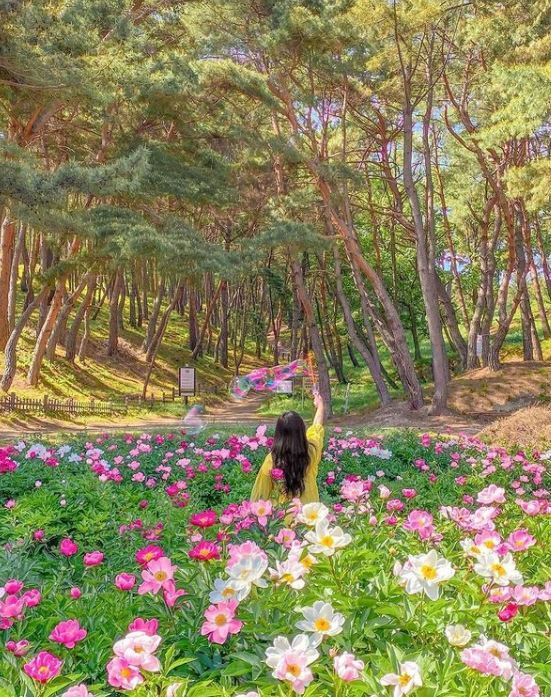 Seoak Village, Gyeongju, Korea