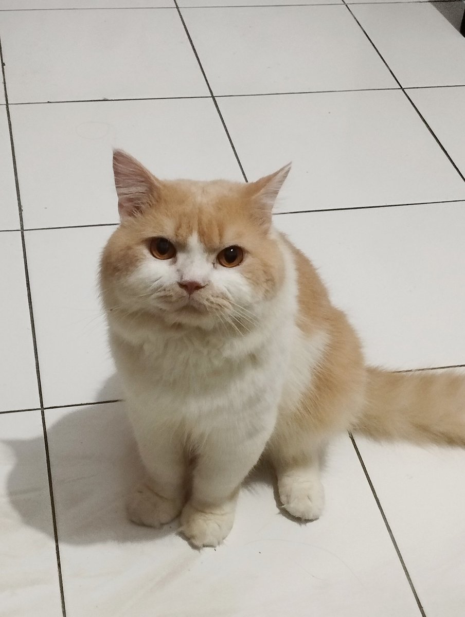 Kaget bgt bangun tidur liat ke bawah udh marah2 begini