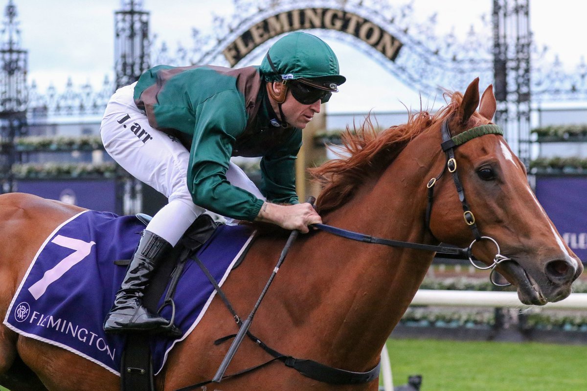 Aquis Stallions tweet media