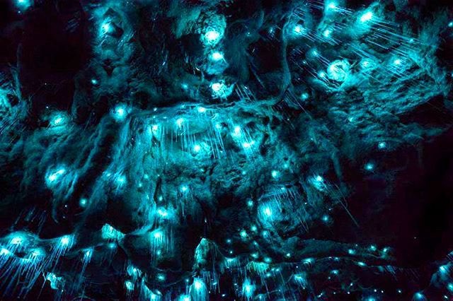 モンサンミッシェルのtwitterイラスト検索結果