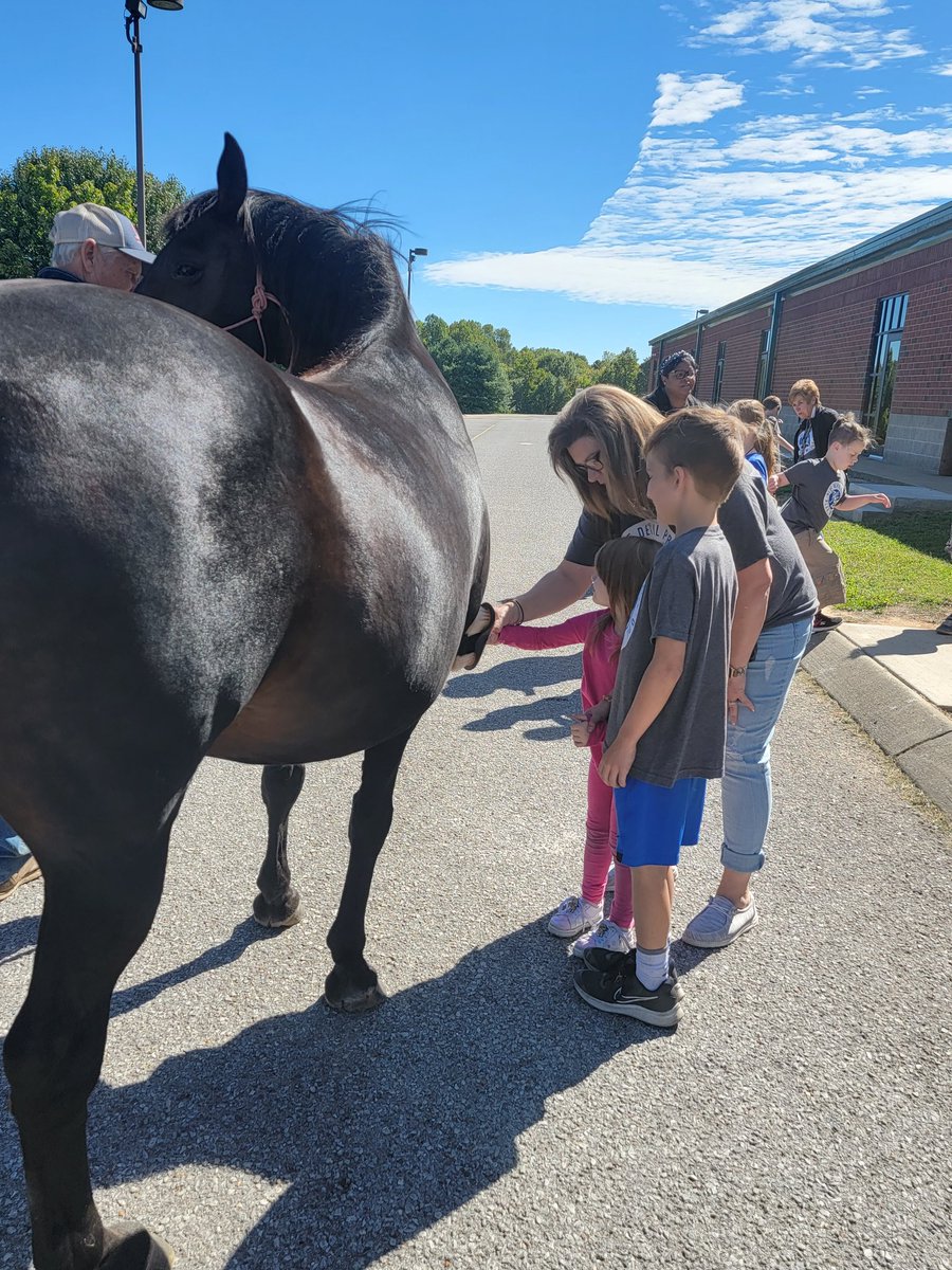 Students in Mrs Johnson's class enjoyed learning all about farms this 9 weeks.  Thank you to all of our special visitors <a href="/sumnerstem/">@SumnerSTEM @SumnerSTEAM</a> <a href="/kylecraighead85/">Kyle Craighead</a> @co_sumner @trenadyf