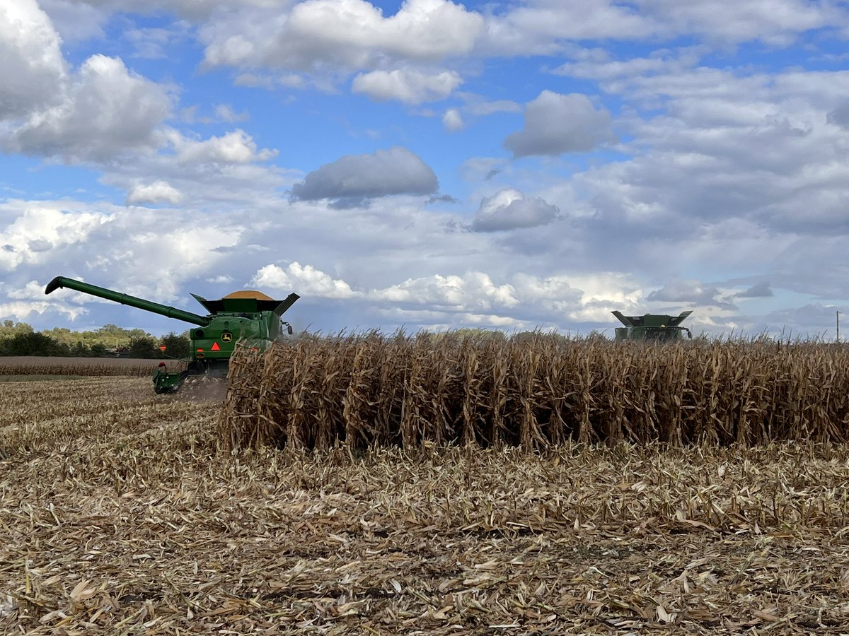 TomFarms's tweet photo. #TATF
A perfect autumn day for adding the 2nd combine to #Harvest22.
DYK There is one silk for every kernel that grows in an ear of corn? ๐ฝ Thatโs a lot of silk!
#TomFarms #Dekalb #JohnDeere #Farmers #BayerCropScience #Corn #Indiana https://t.co/Fv3jVLoQqT