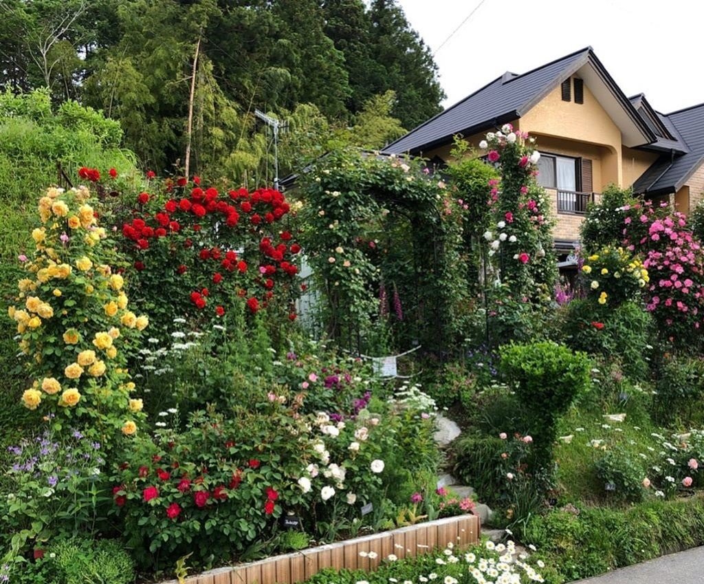 nf_5202's tweet photo. flower garden https://t.co/OBeRZ2NTPS