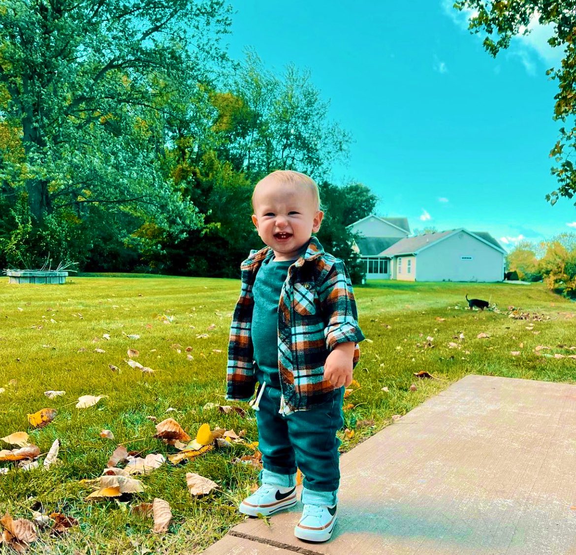 the_MrBraun's tweet photo. Rip says Happy Fall, yaβll! ππ#thisisourseason #flannelsfordays https://t.co/BOiuCngFfI