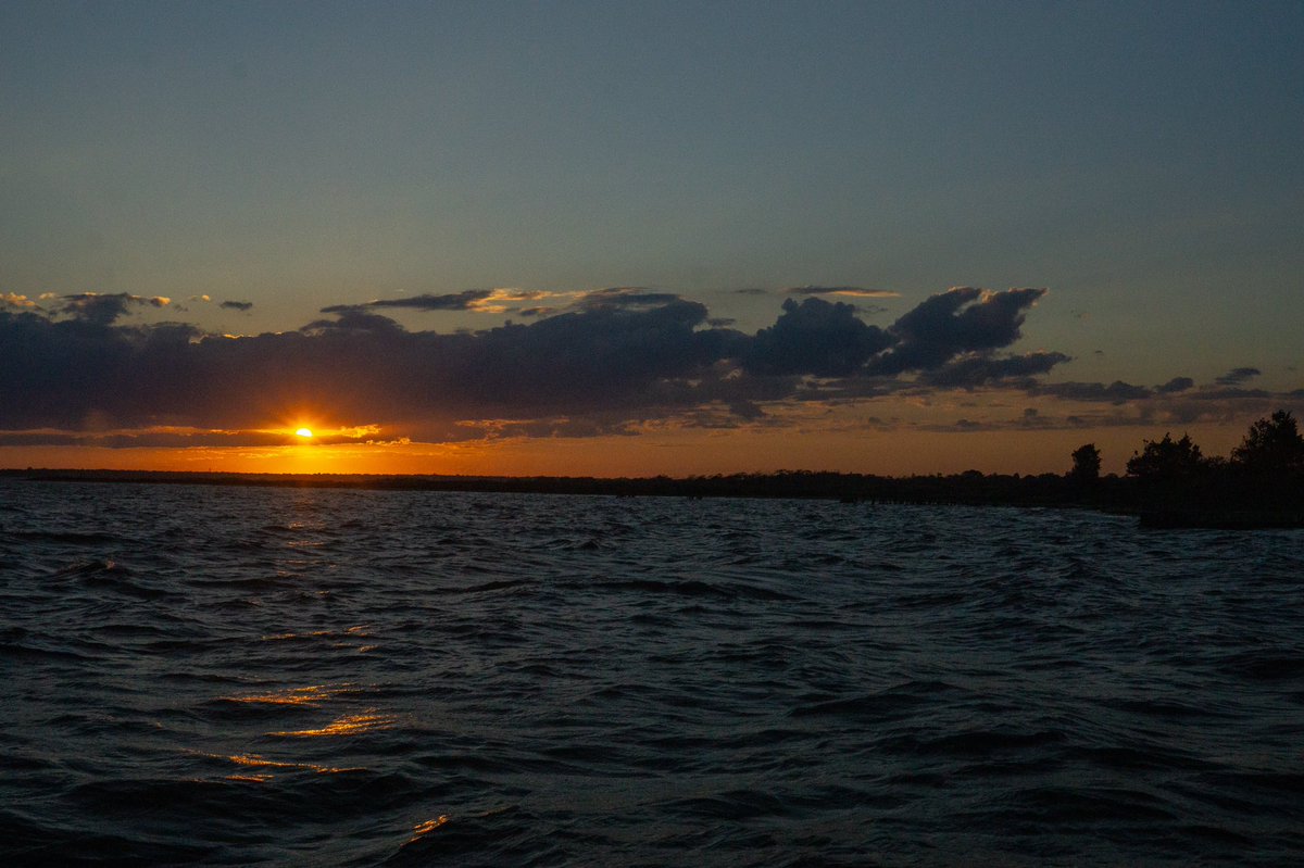 rivsauber's tweet photo. Views
#sunset #septembersunset #sunsets #sunsetphotography #goldenhour #SonyAlpha #westsayville #cloudsunset https://t.co/IO4zGTZW5Y