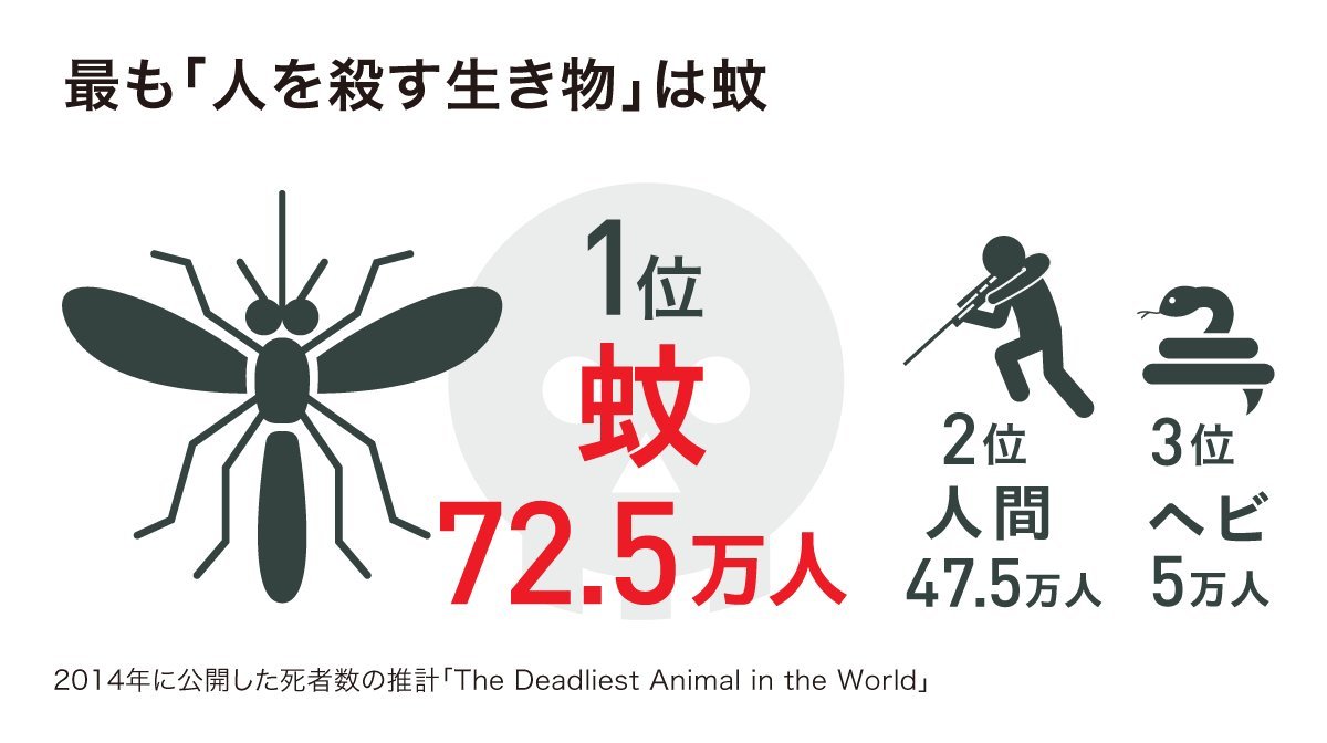 デング熱: 蚊が媒介するこの病気は国を悩ませていますが、あなたもその予防に貢献できます