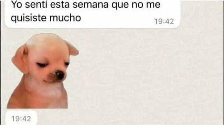 Gaspar 👽 tweet media