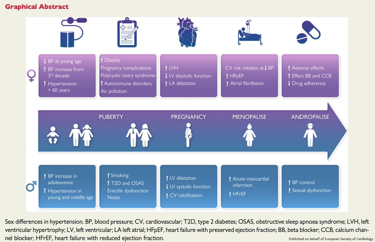 ESC_Journals's tweet photo. Sex differences in arterial hypertension https://t.co/nay3WoyAx9 

@escardio #EHJ #ESCYoung #cardiotwitter @ehj_ed @rladeiraslopes https://t.co/UyTGMQrwr7